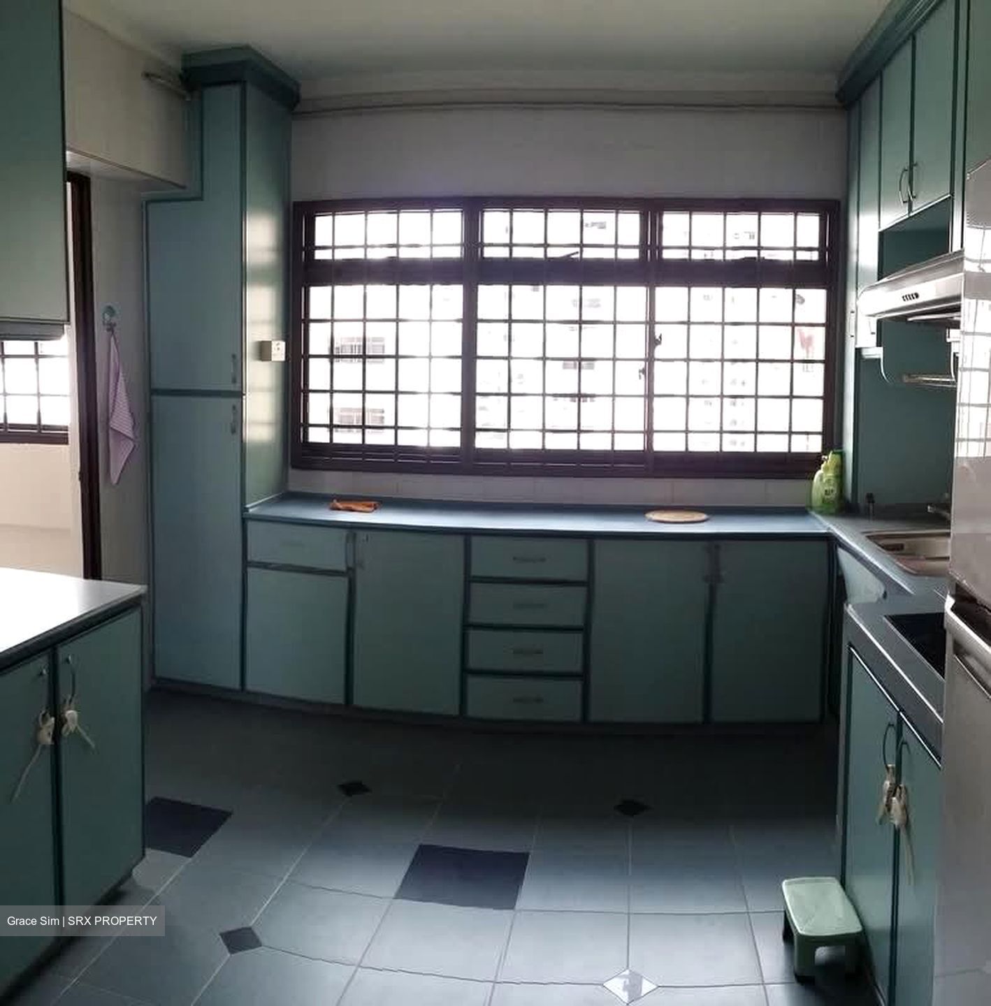 Blk 520 Pangshan Valley (Bukit Panjang), HDB Executive #585583551
